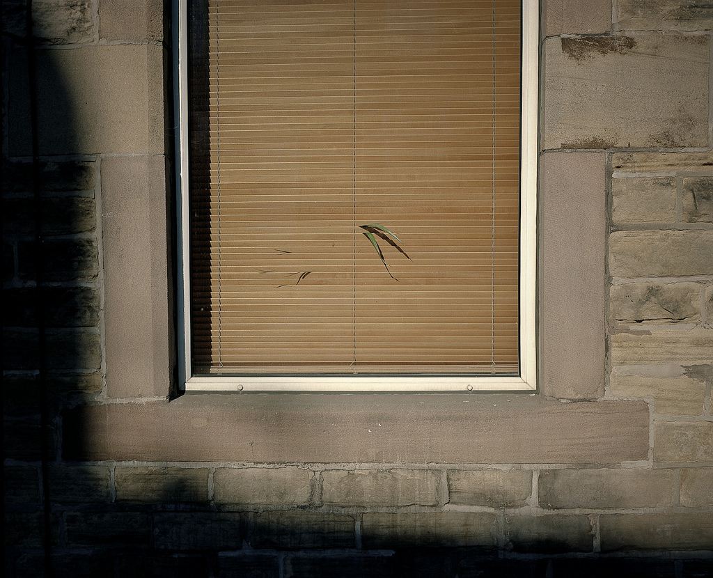 Sheffield. Home.